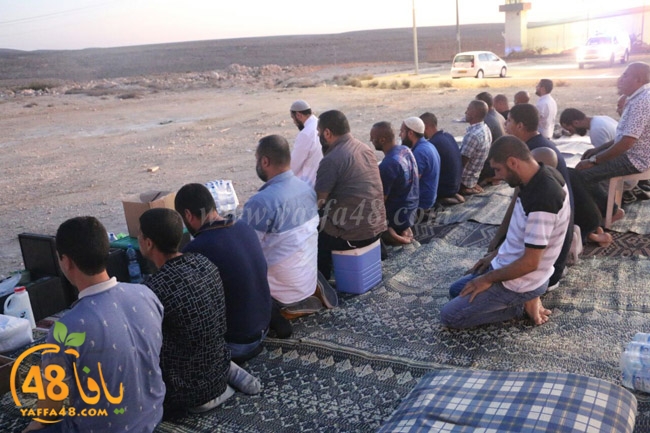 shabab yafafa naf7a (2).jpg